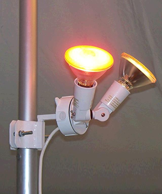 Rental store for TENT LIGHT DUAL 150 WATT FLOOD in Tacoma WA