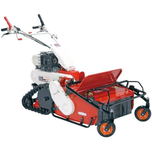 Rental store for MOWER, FLAIL TRACKED WALK-BEHIND 25.5 in Tacoma WA